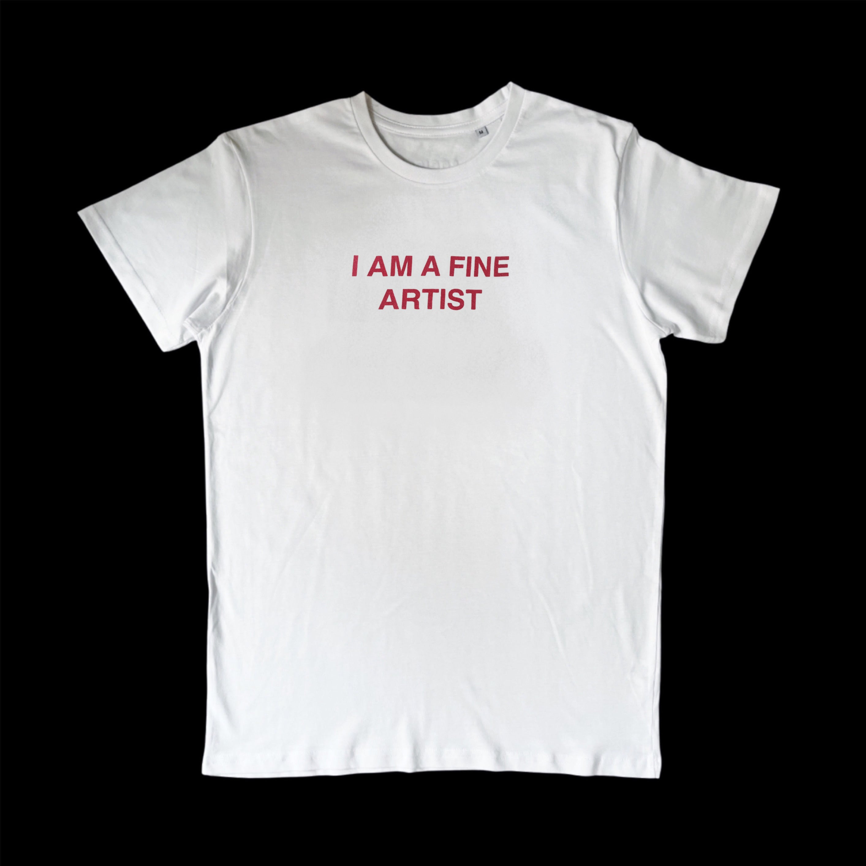 I'M A FINE ARTIST T-SHIRT